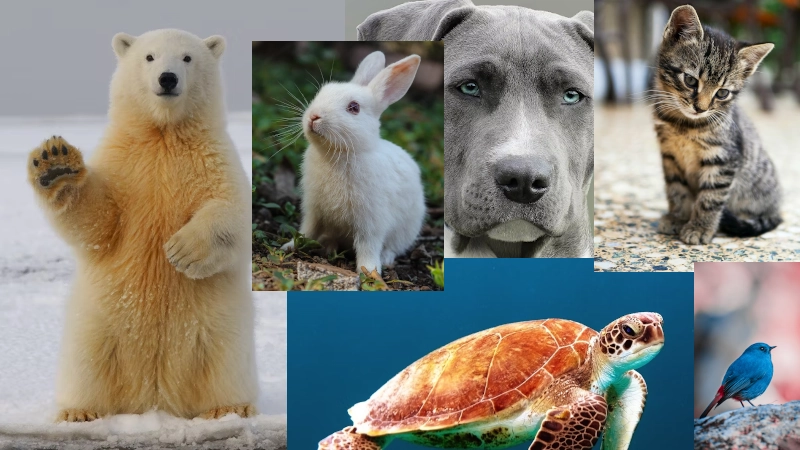 World Animal Day 2025: Celebrating The Animals That Enrich Our Lives