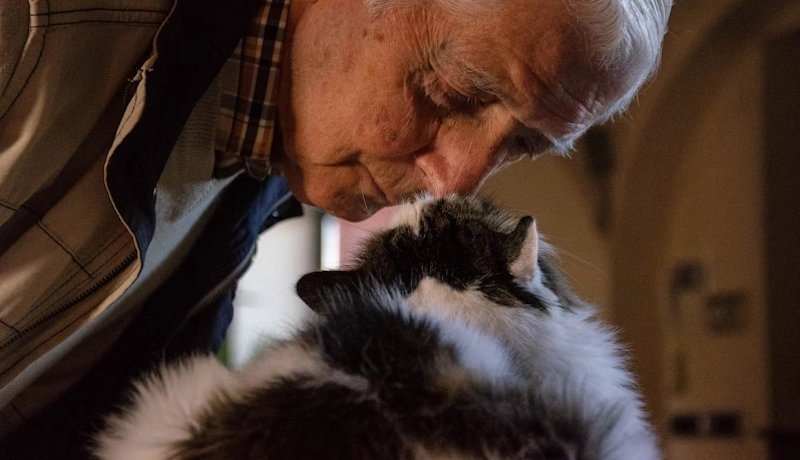 Pet Loss Support for the Elderly - Addressing the Unique Emotional Challenges Older Adults Face