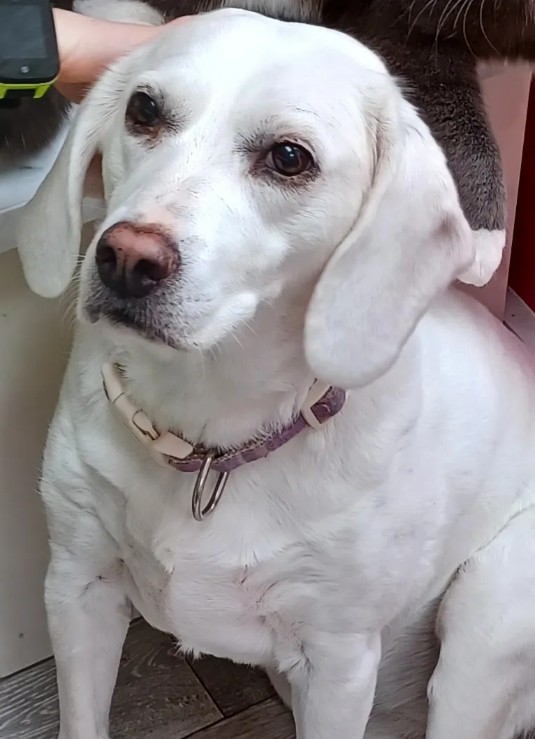 Ellie