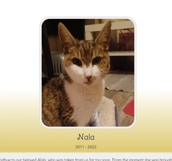 Create a Memory for Free to Honour Your Beloved Companion